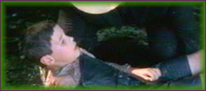 langue_papillons00015.jpg