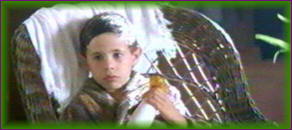 langue_papillons00016.jpg