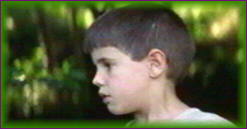 langue_papillons00035.jpg