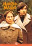 harold et maude.jpg